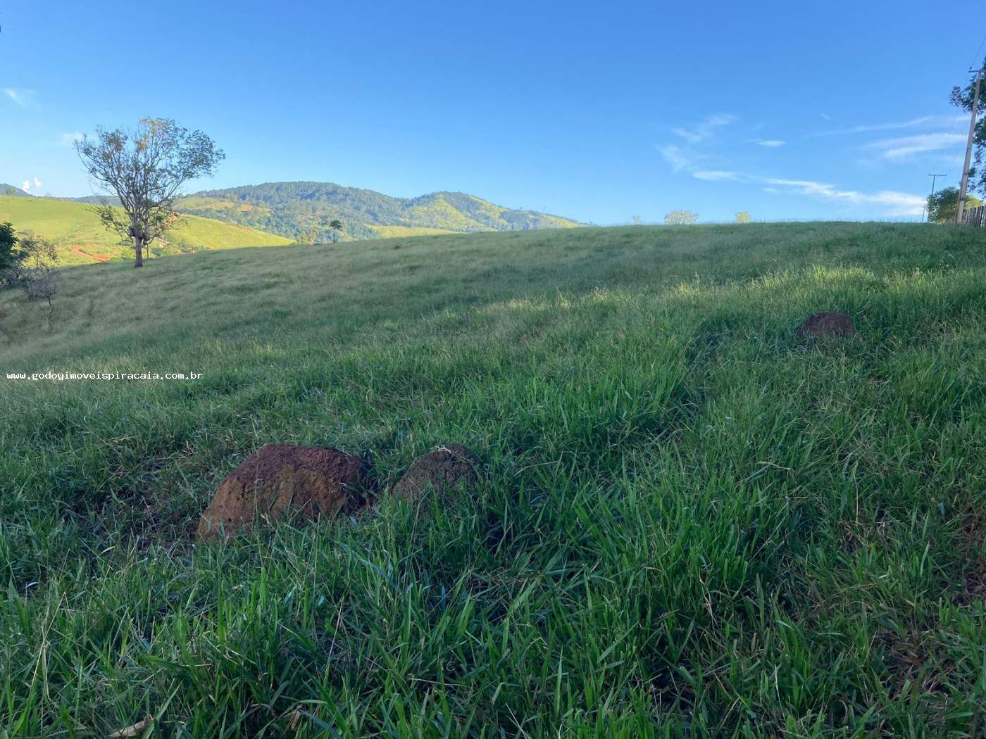 Sítio, 3 quartos, 12 hectares - Foto 8