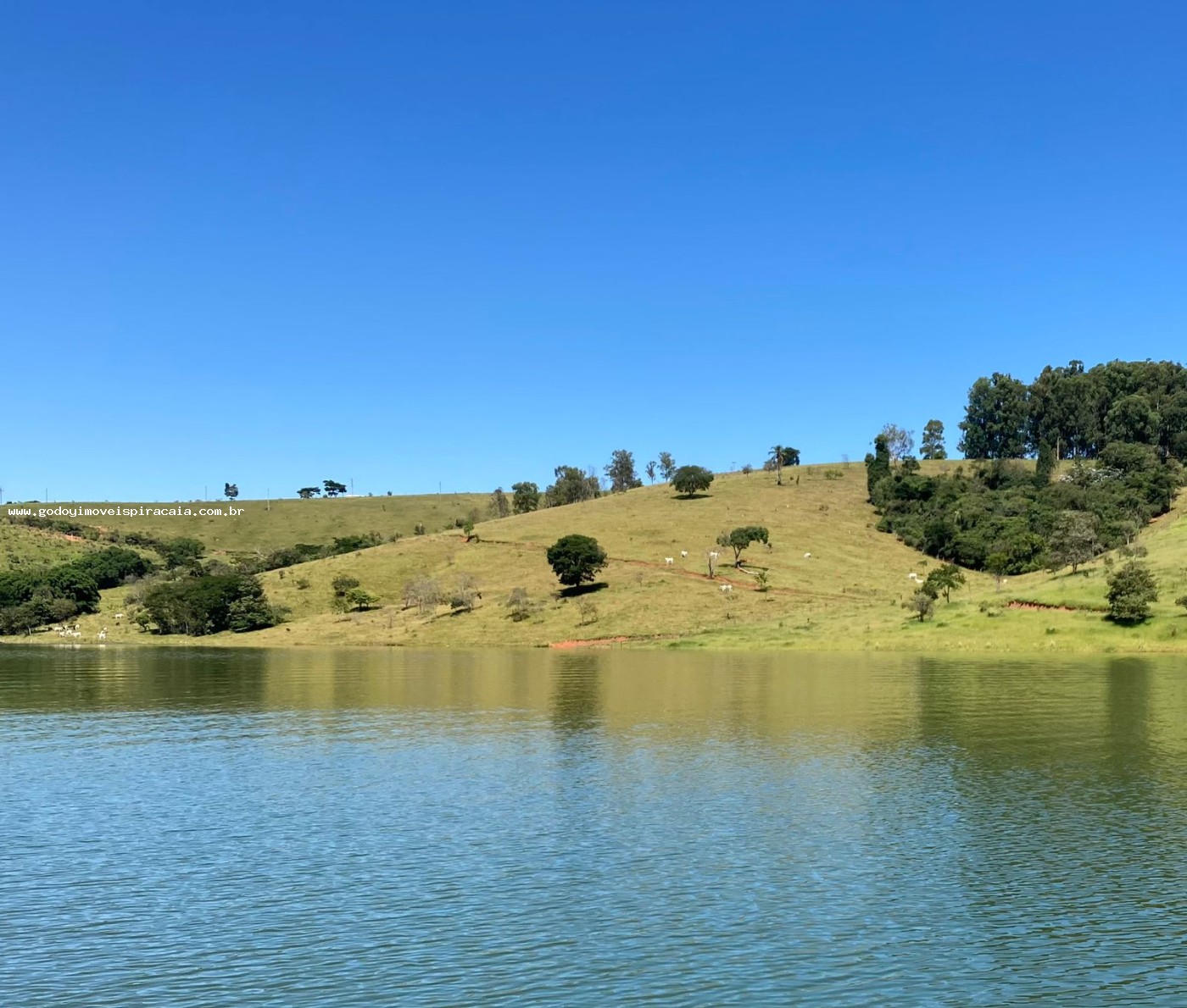 Sítio, 3 quartos, 12 hectares - Foto 9