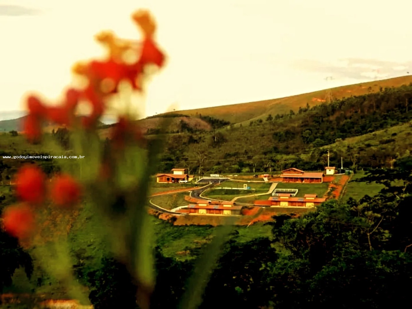 Chácara, 10 quartos, 2 hectares - Foto 14