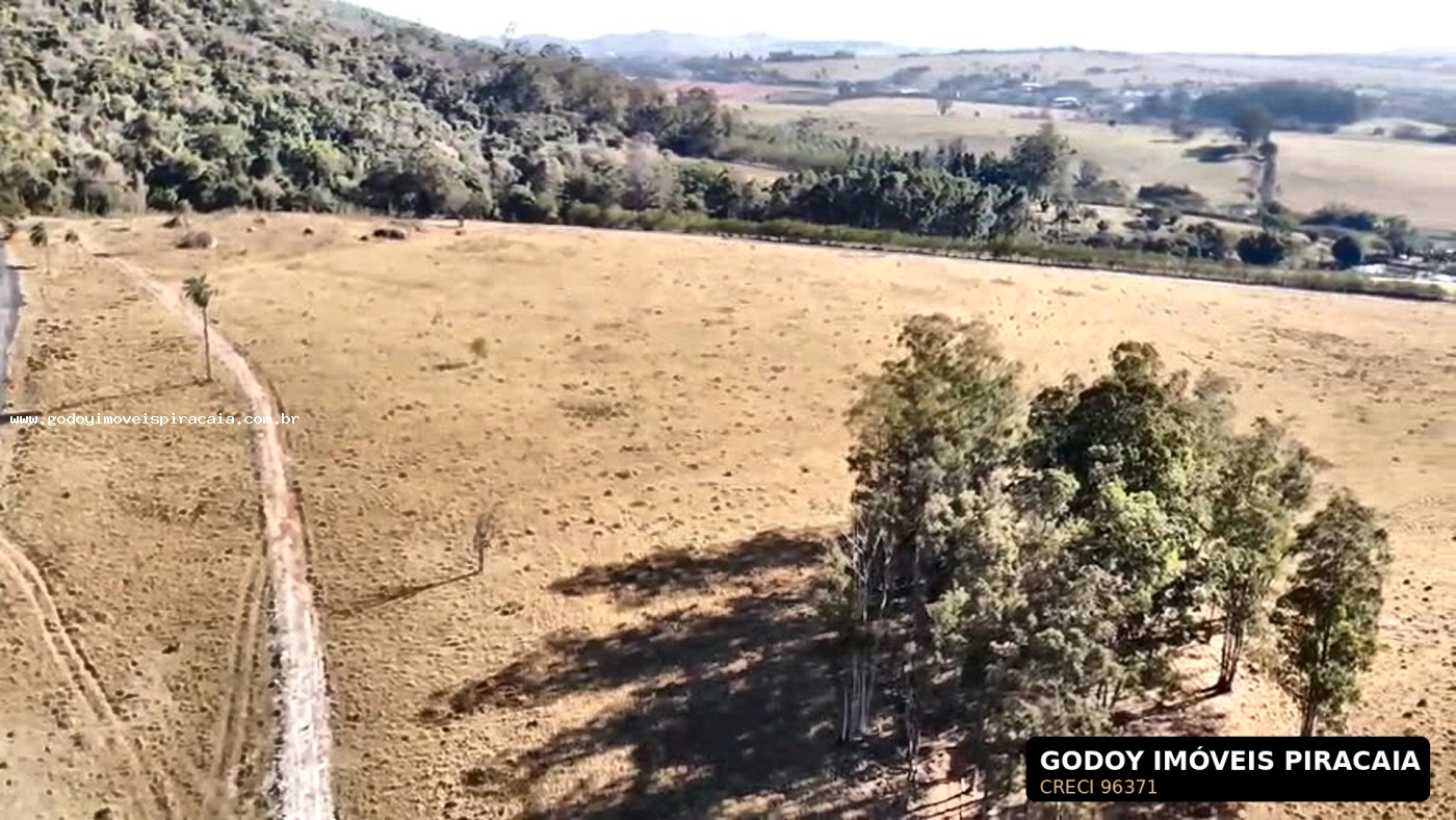 Chácara, 123 hectares - Foto 8