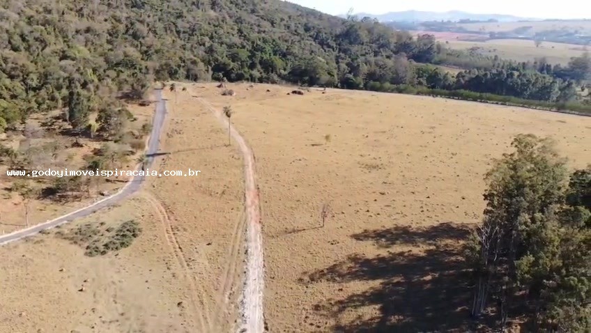 Chácara, 123 hectares - Foto 13