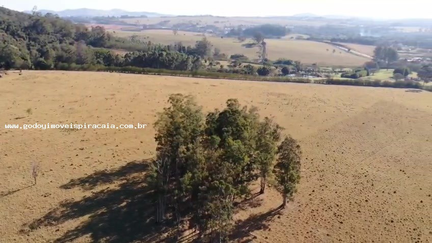 Chácara, 123 hectares - Foto 14