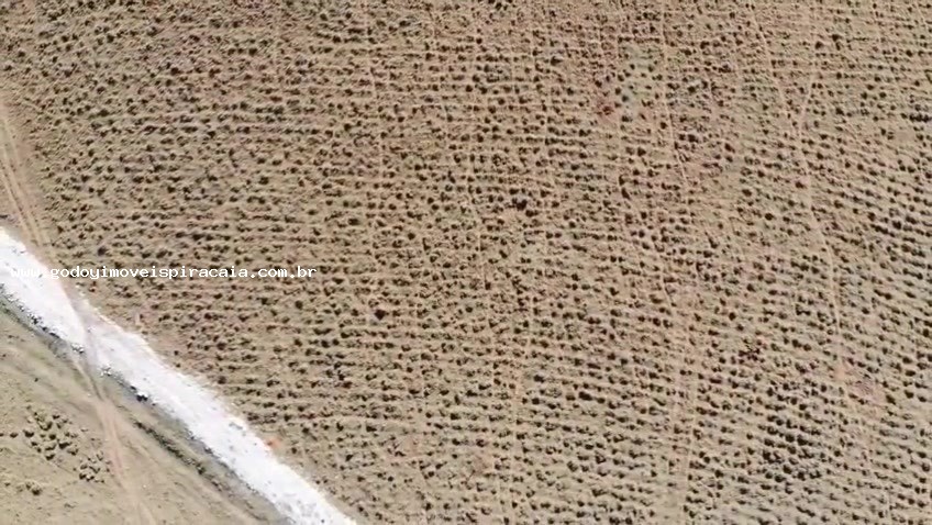 Chácara, 123 hectares - Foto 18
