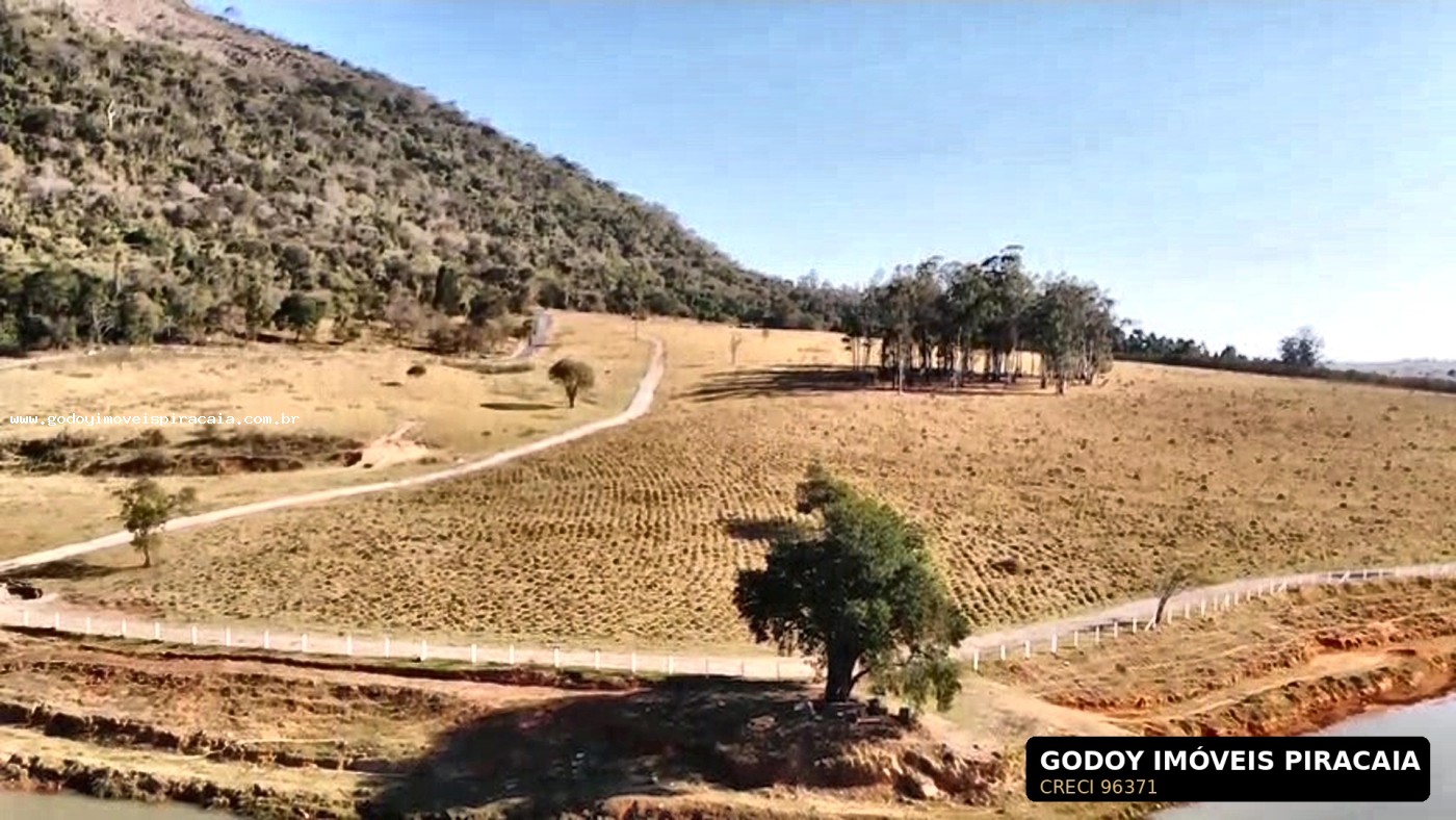 Chácara, 123 hectares - Foto 23